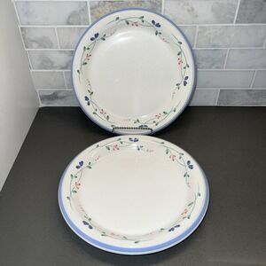 2~Allegro Stoneware "Hearthside" Pattern - 10 1/2" Dinner Plates